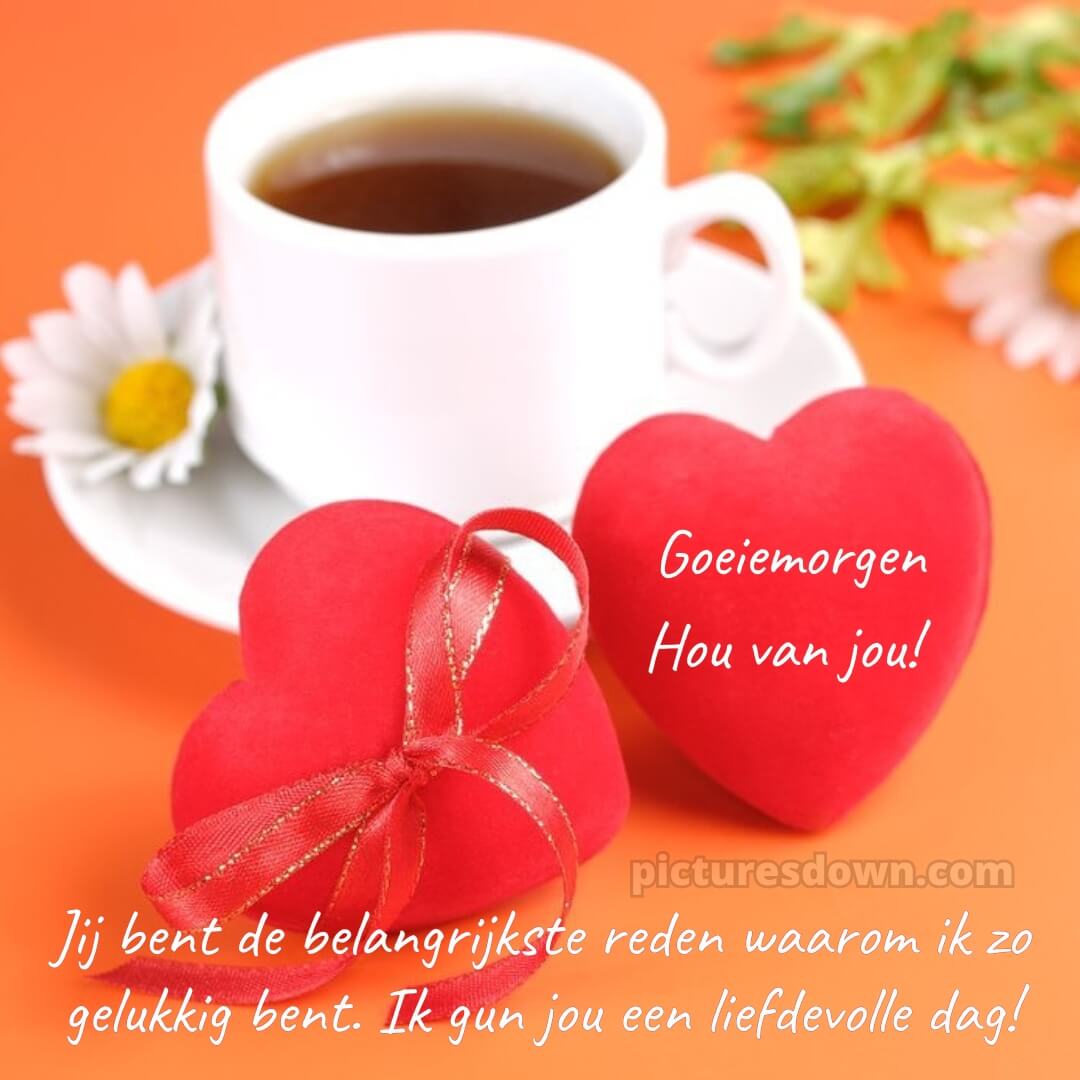 Goedemorgen lieverd plaatje hart - Goede Stellingen Voor Een Betoog