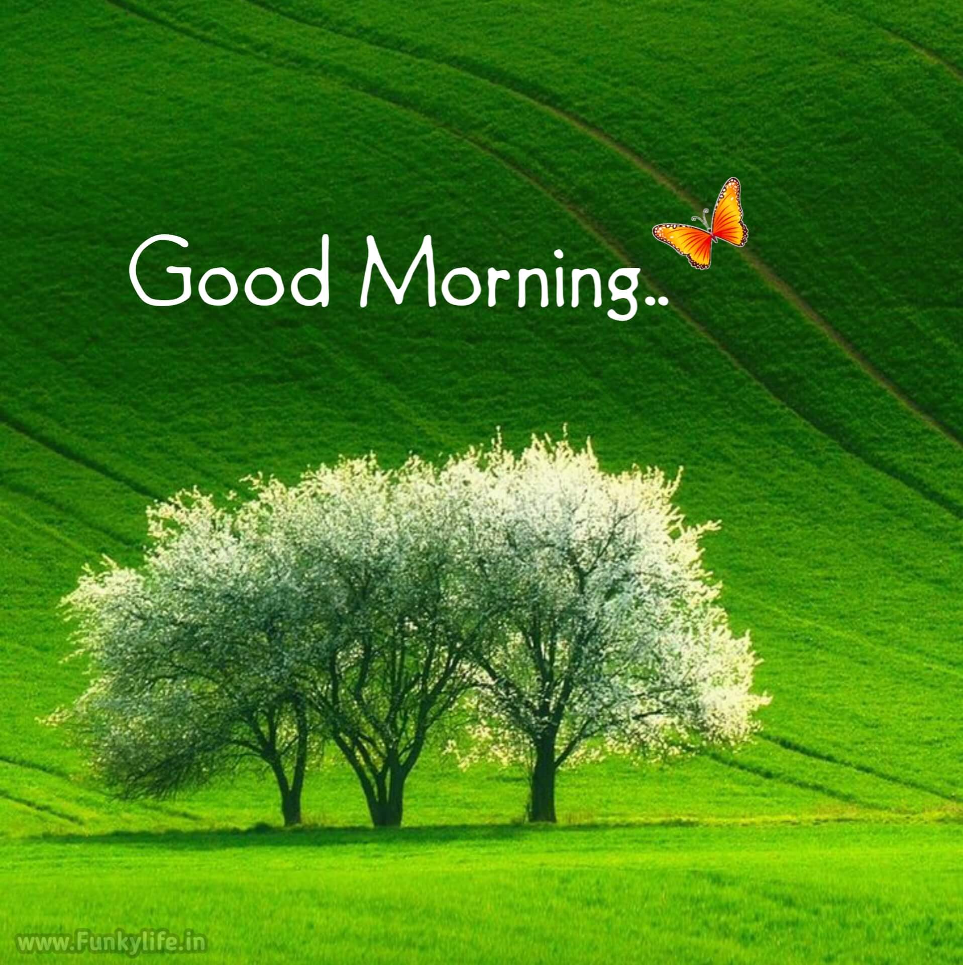 Good Morning With Images ( June 2025) - Harshji - Morning After Pil Hoe Vaak