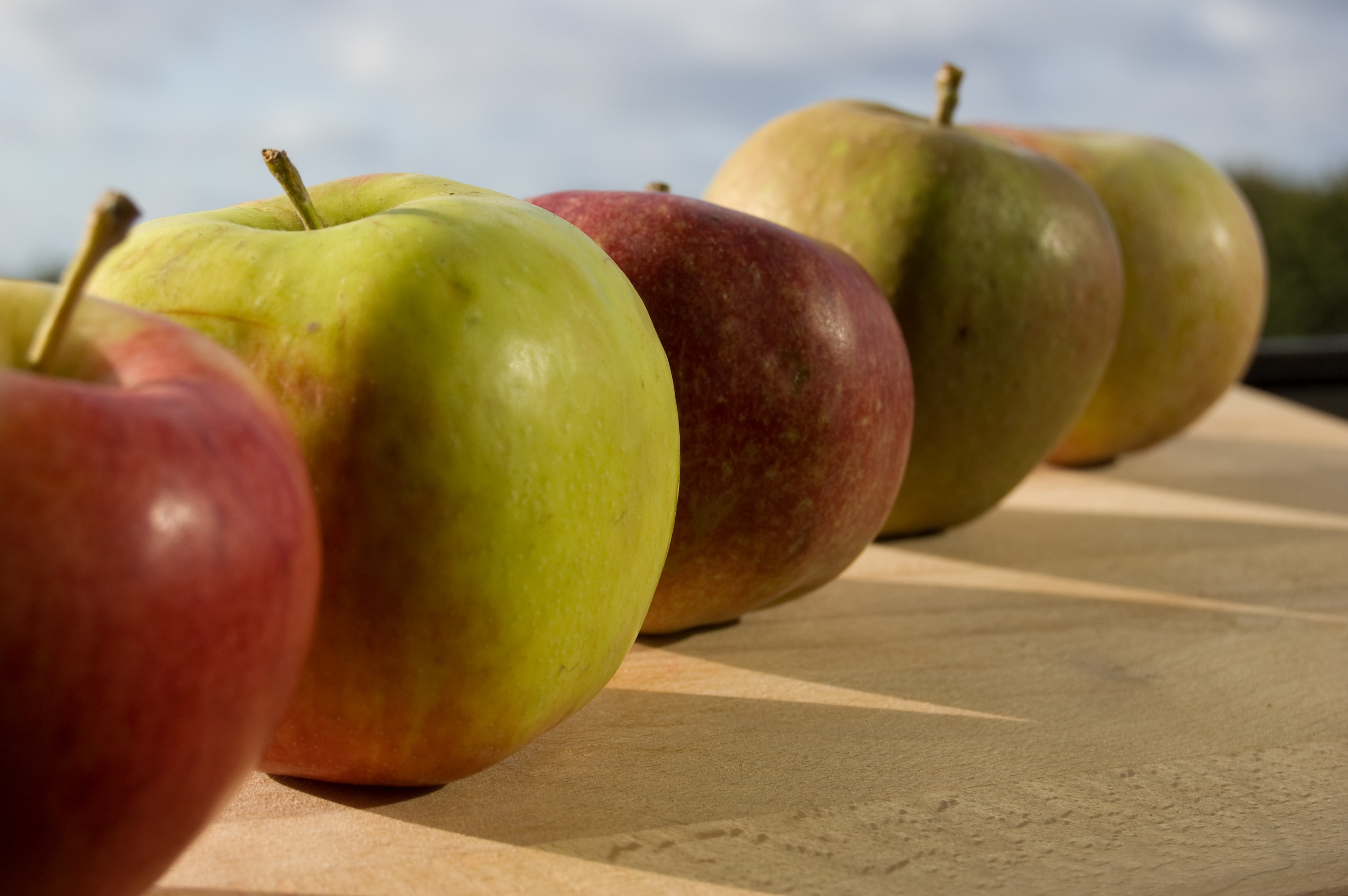 Gratis Afbeeldingen : appel, fabriek, fruit, eten, produceren, Peer - Appel Valt Niet Ver Van De Boom