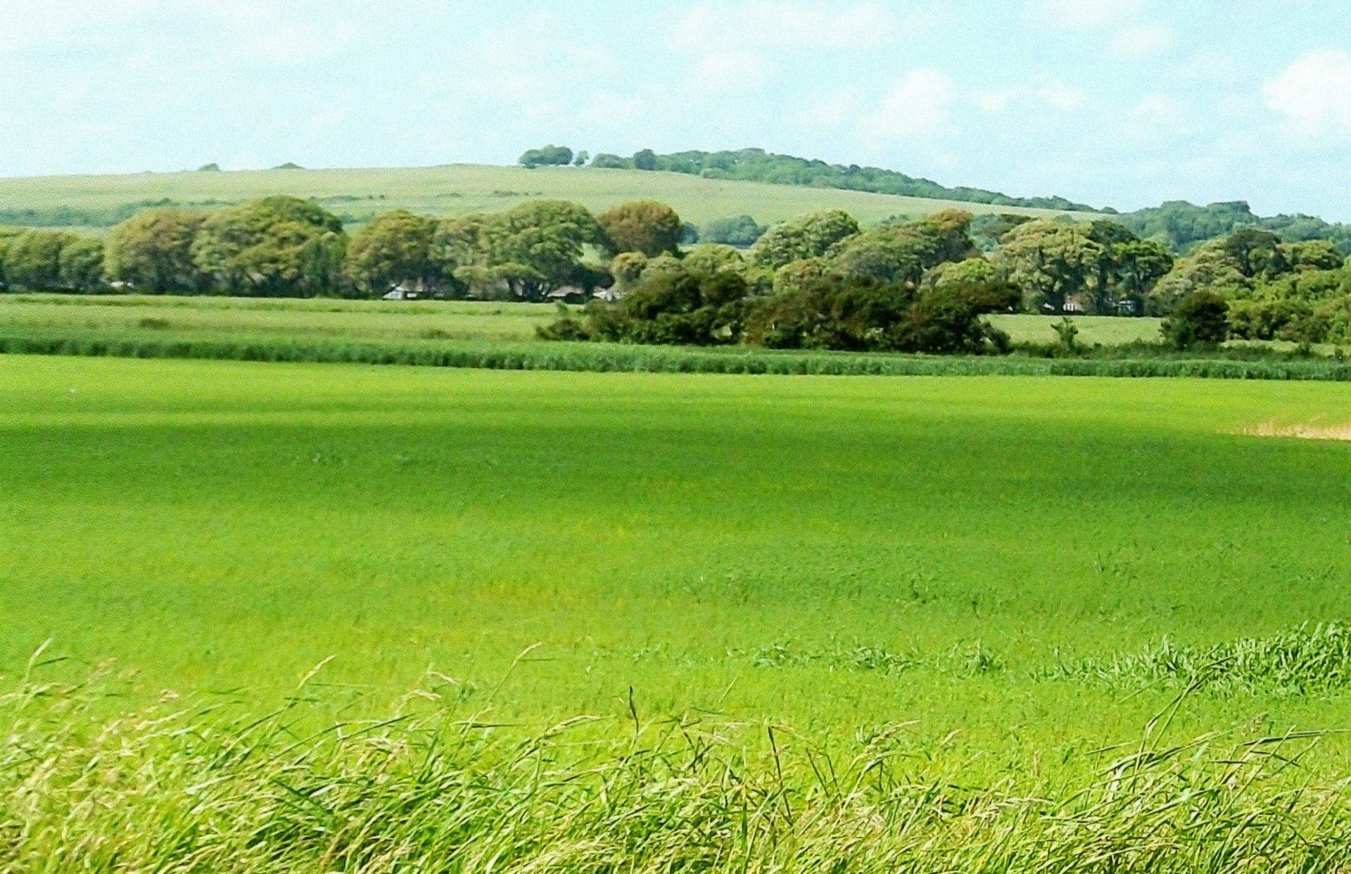 Green Belt Land - Definition and Protection🤥 Mergulhe na emoção das - Land Met De Langste Mannen Ter Wereld