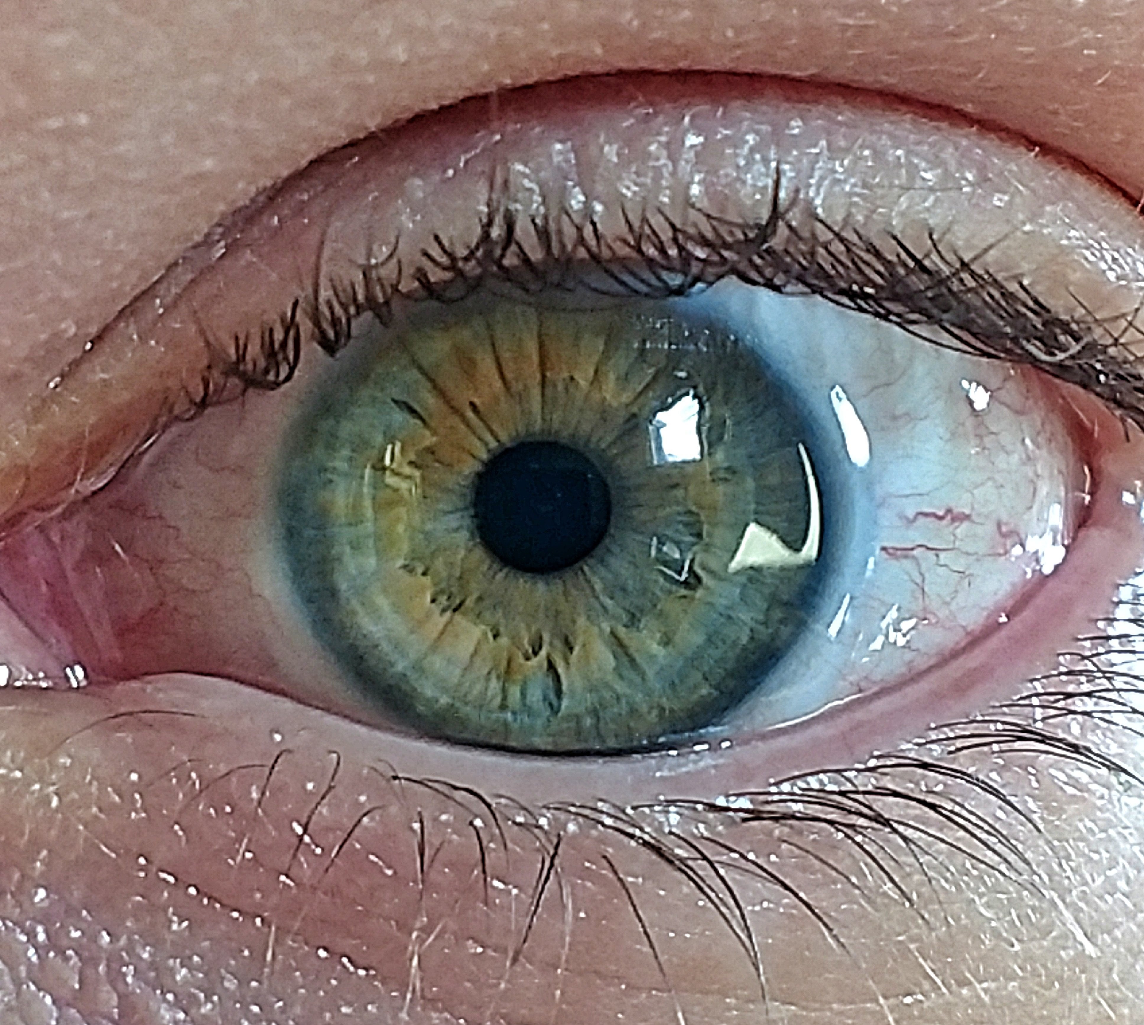 Green hazel : eyes - Hazel Fault In Our Stars