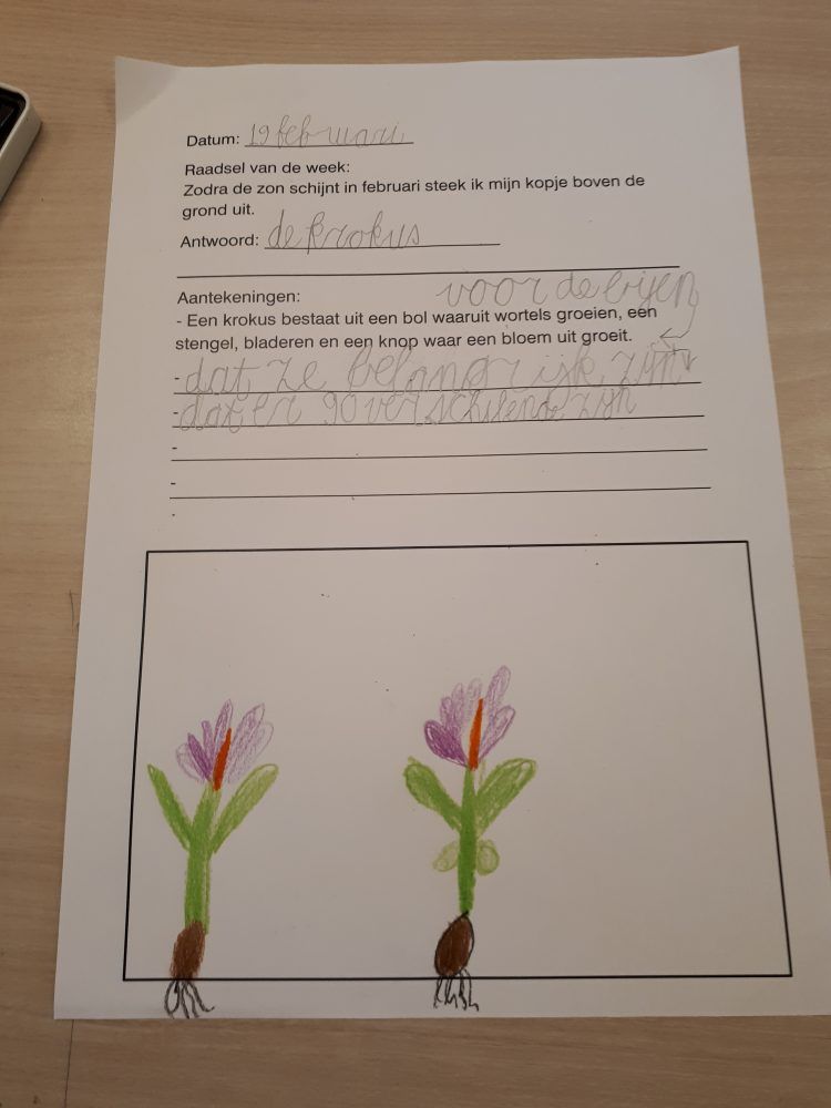 Grej of the Day in groep 3 • Juf Maike - leerkracht website en blog - Grej Of The Day Raadsels Groep 3