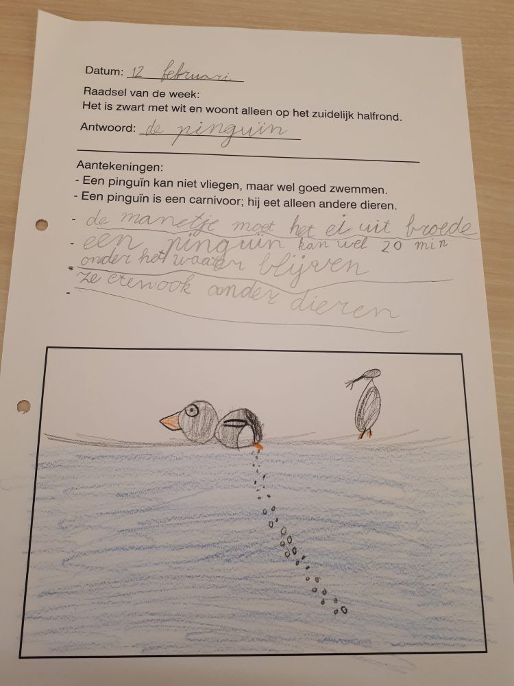 Grej of the Day in groep 3 • Juf Maike - leerkracht website en blog Zoo - Grej Of The Day Raadsels Groep 3