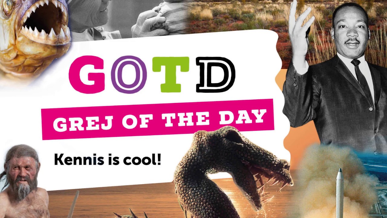 Grej of the day - Wat is Grej of the day - YouTube - Grej Of The Day Raadsels Antwoorden