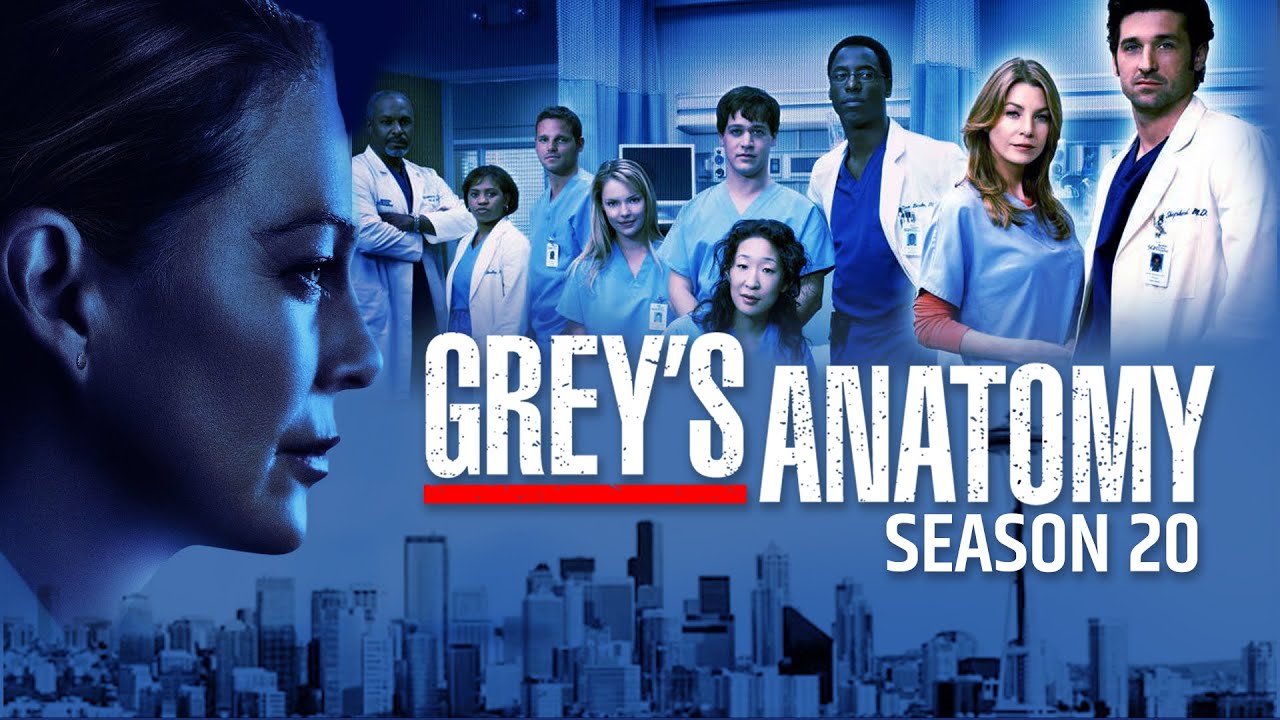 Hoeveel Seizoenen Greys Anatomy Zijn Er