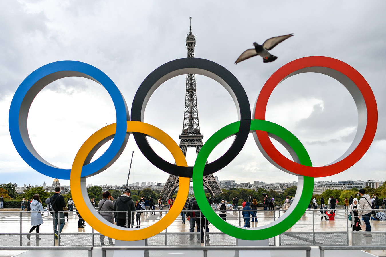 Grootste vluchtelingenteam ooit op Olympische Spelen in Parijs | Foto - Wanneer Olympische Spelen In Nederland