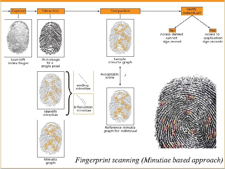 Guide to Biometrics TYPES OF BIOMETRICS Based on - In Welke Hoofdgroepen Worden Vingerafdrukken Ingedeeld