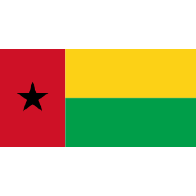 Rood Geel Groen Vlag Met Ster