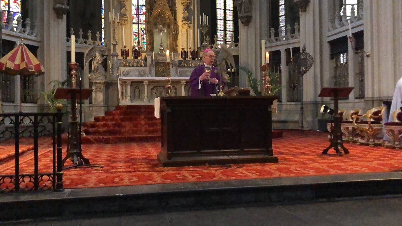 Mis Sint Jan Den Bosch