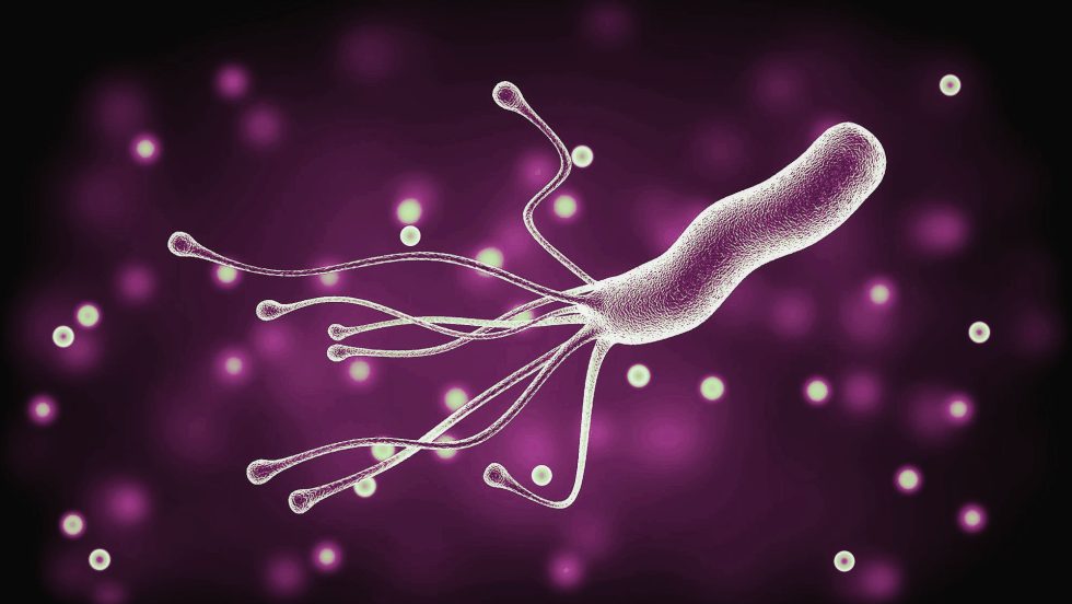 H. pylori Services - The Digestion Coach™ Est. 1989 - Hoe Krijg Je Helicobacter Pylori