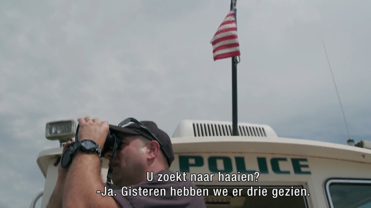 Deze Wijk Is Het Centrum Van New York