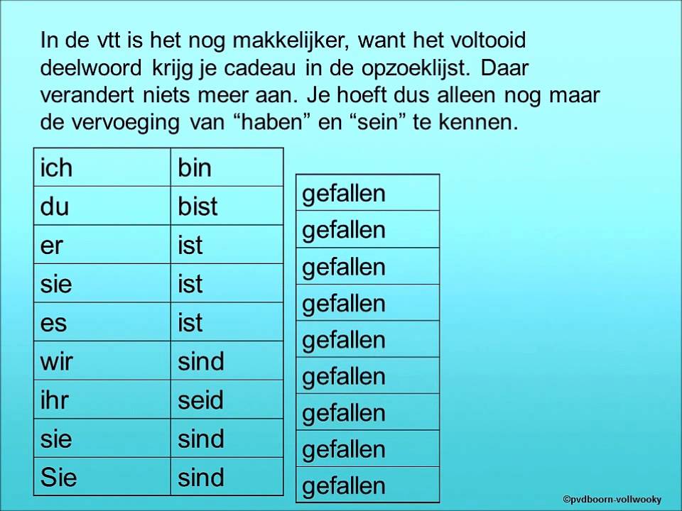 Haben En Sein Tegenwoordige Tijd: Hoe Te Gebruiken In De Nederlandse Taal - Haben Sein Werden Tegenwoordige Tijd