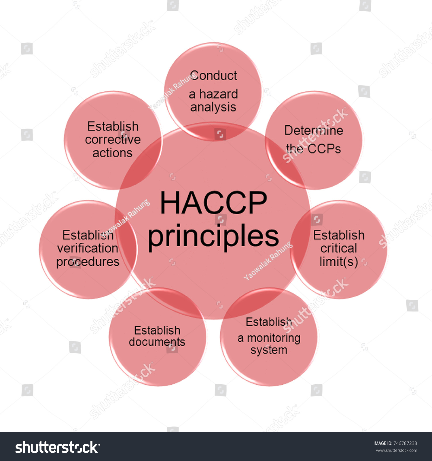 HACCP Principles Food Safety Training, Food Safety Posters,, 42% OFF - Wat Is Het Doel Van Haccp