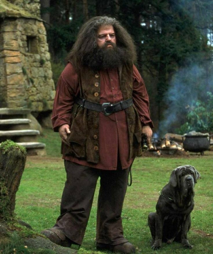 Hoe Heet De Wolfshond Uit Harry Potter
