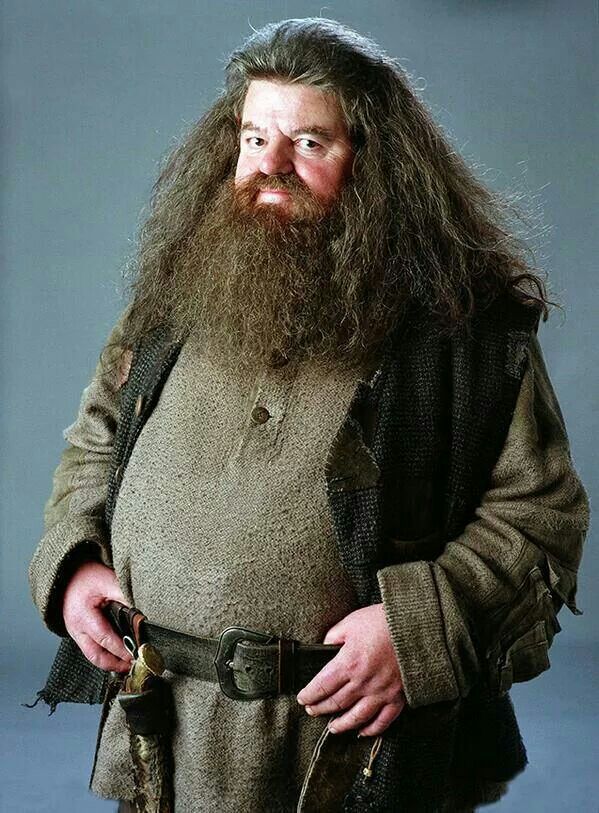 Hoe Heet Harry Potters Leraar Voor Het Vak Toverdranken