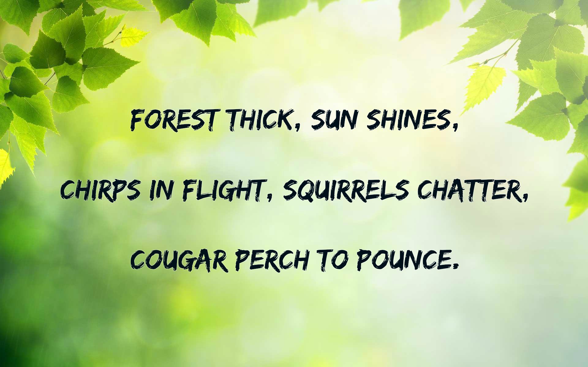 Haiku Examples - Wat Is Een Haiku Gedicht
