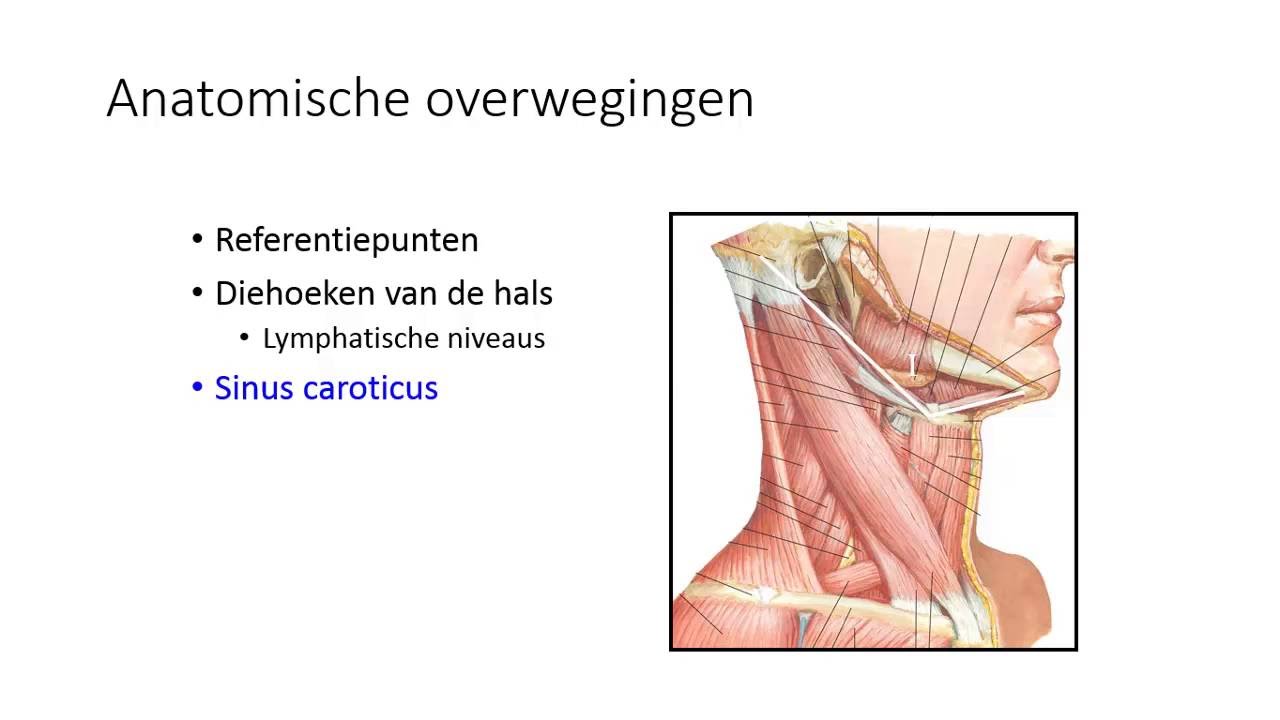 halsklieren en neckdissectie - YouTube - Waar Zitten Je Klieren In Je Hals