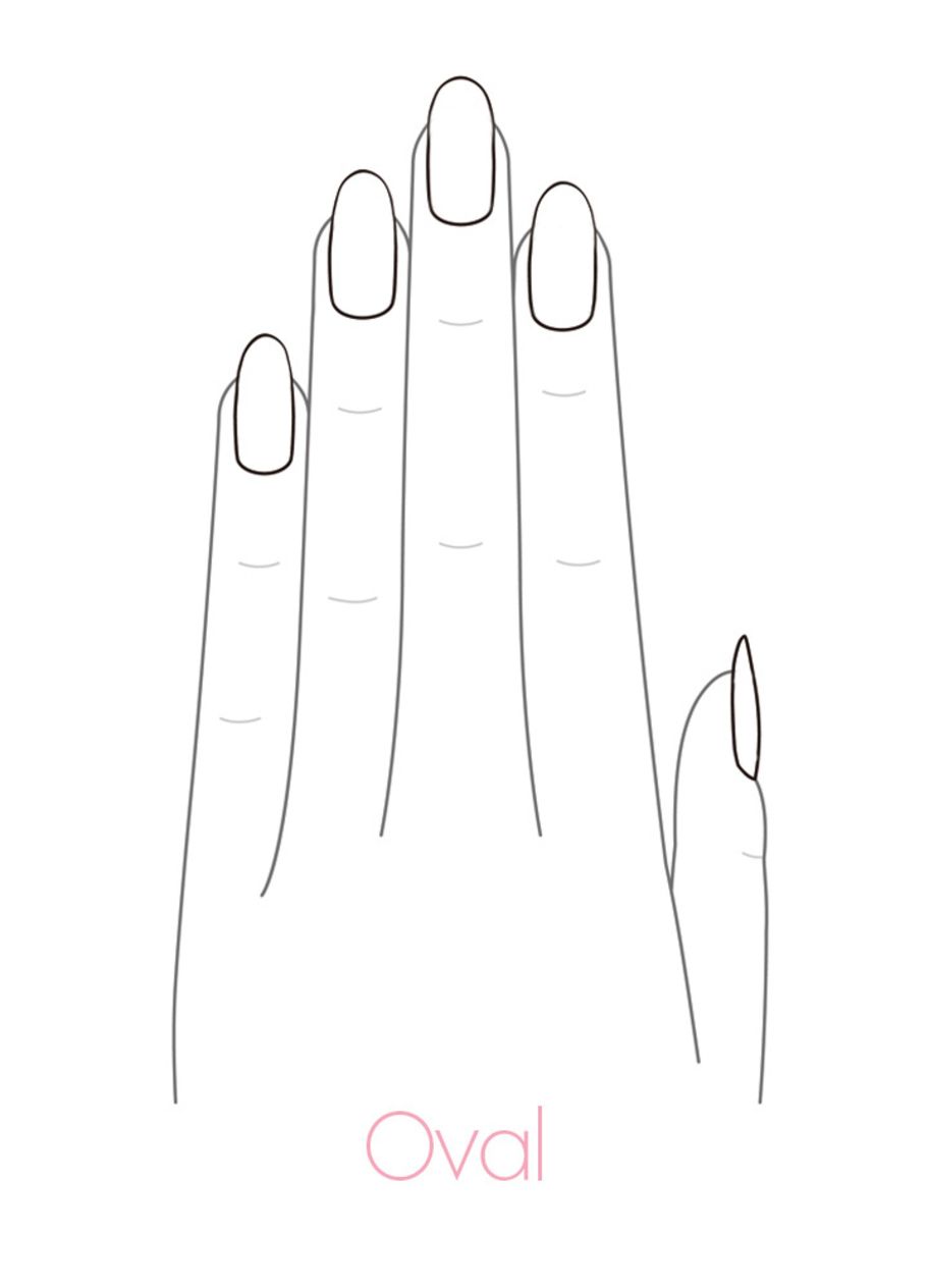 Hand Template With Nails - Company Profile Template - Met Zijn Vijven Of Vijfen