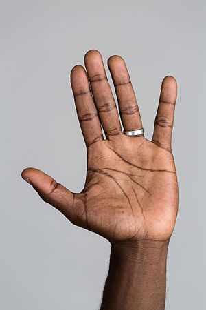 Hand - Wikipedia - Hand Voet Mondziekte Mond En Klauwzeer