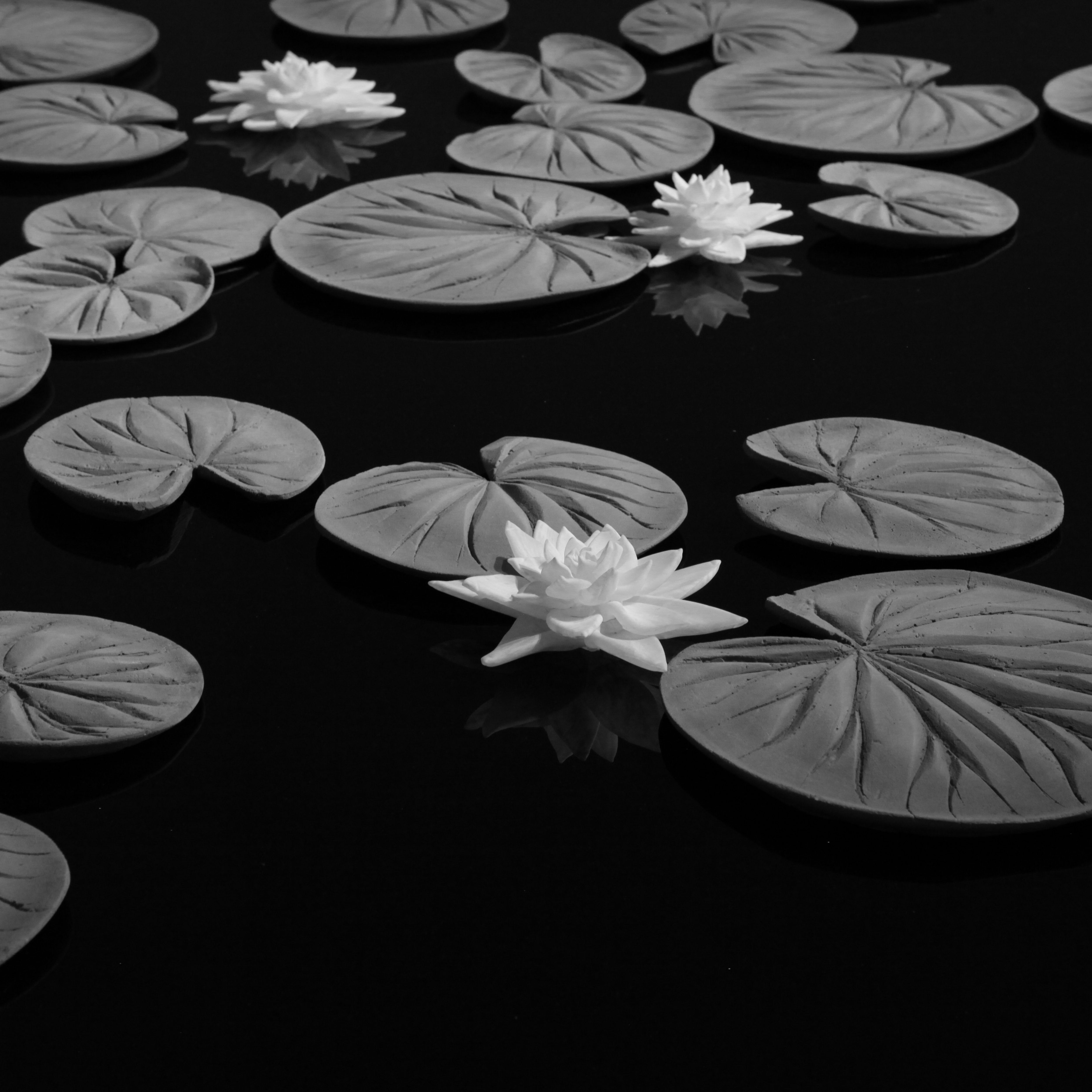 Hans Op de Beeck – Kunstraum Dornbirn - Hans Op De Beeck Amersfoort