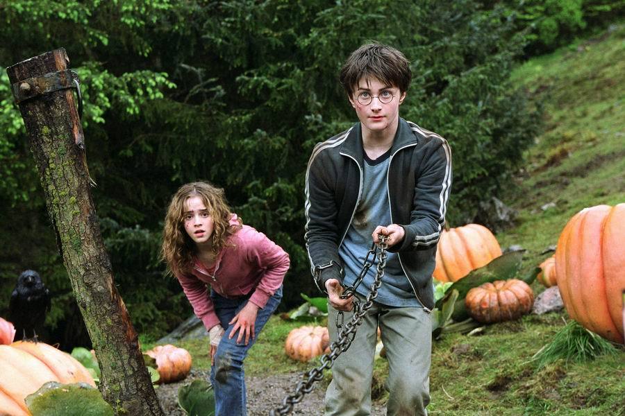 Harry and Hermione - Harry Potter Photo (2254993) - Fanpop - Hoe Heet De Peetvader Van Tovenaarsleerling Harry Potter