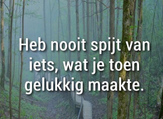 Heb nooit spijt van iets, wat je toen gelukkig maakte. | Teksten - Iemand Vergeven Die Geen Spijt Heeft