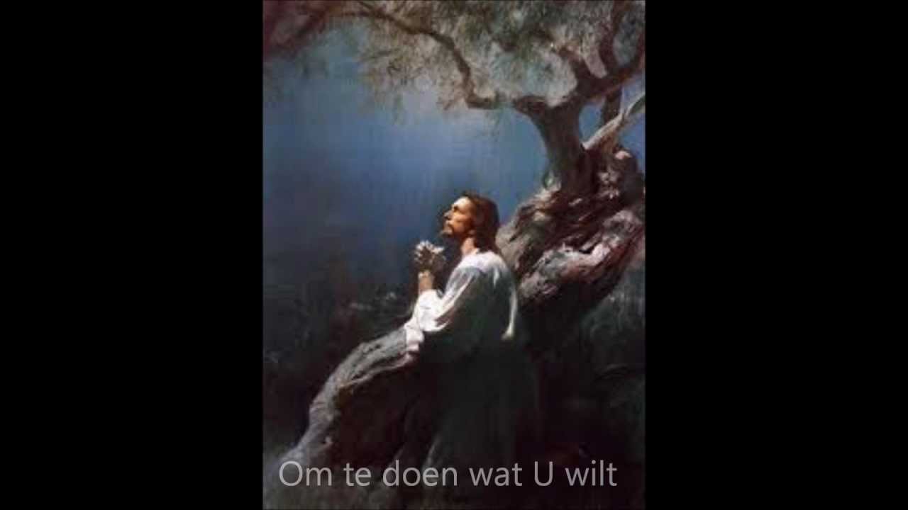 Heel alleen in de hof - YouTube - Heel Alleen In De Hof