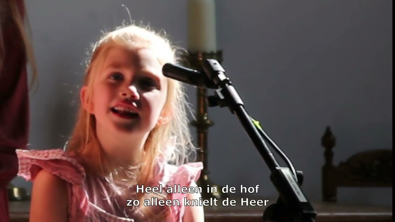 Heel alleen in de hof - YouTube - Heel Alleen In De Hof