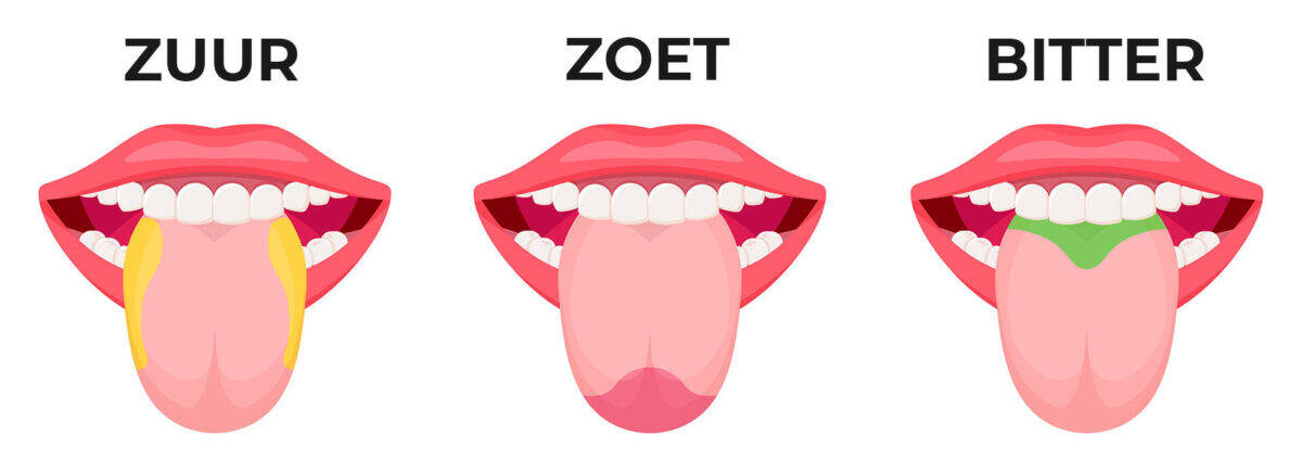 Help! Mijn koffie smaakt zuur of bitter... Wat nu? - Koffietje.nl - Zoet Zout Zuur Bitter