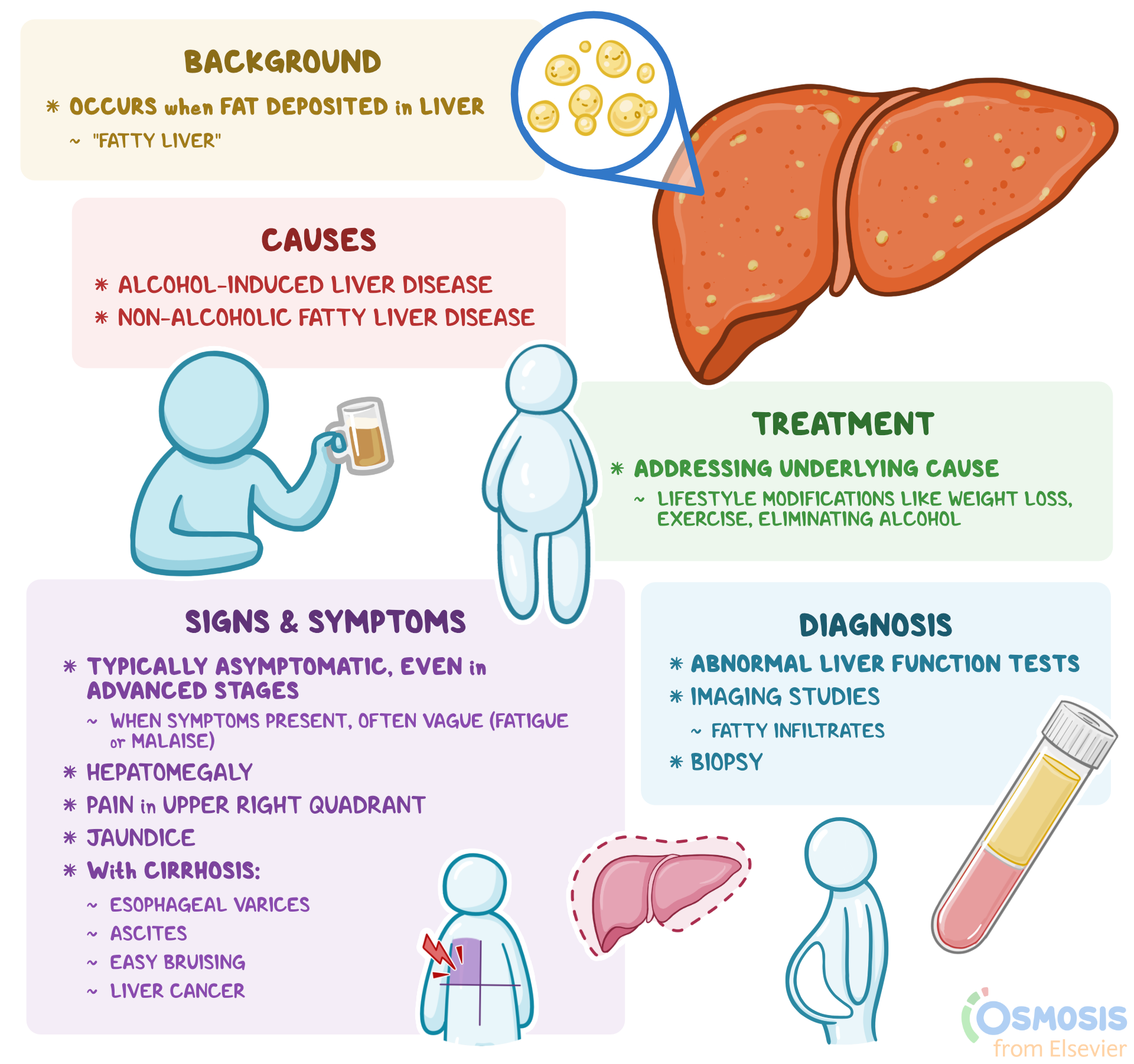 Steatosis Hepatis Met Focale Non-steatose