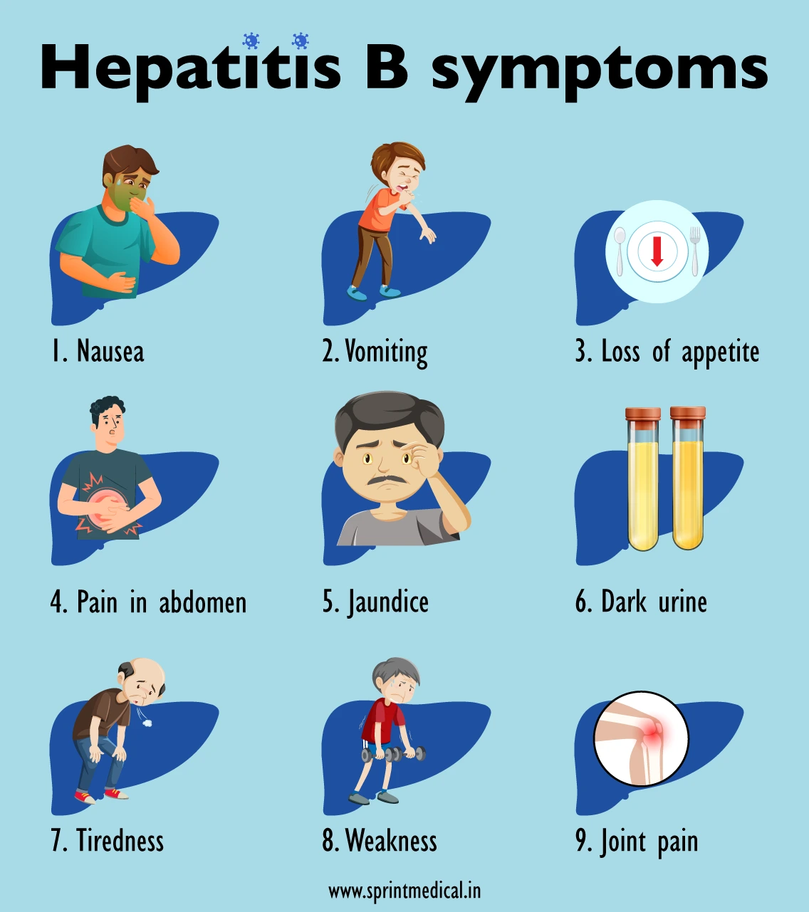 Verschil Hepatitis A En B
