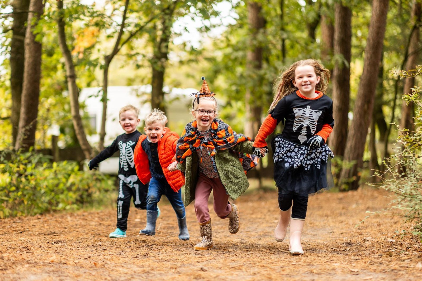 Herbstferien in Brabant | Camping de Paal - Wanneer Is Het Herfstvakantie In Brabant