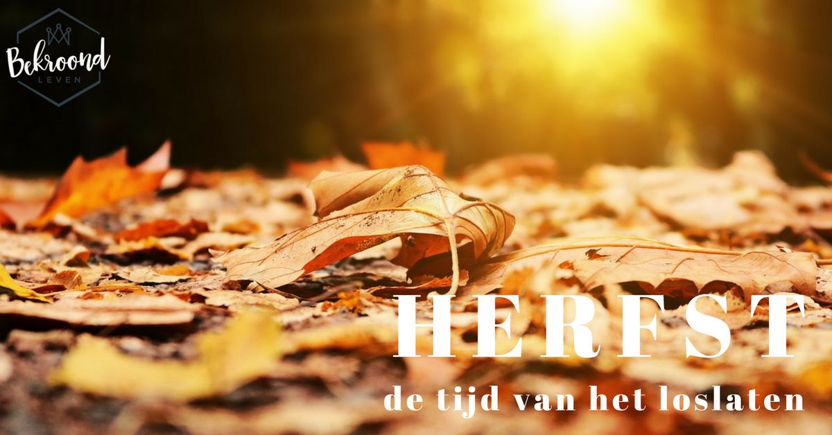 Herfst - de tijd van het loslaten - Bekroond leven - Herfst Van Je Leven