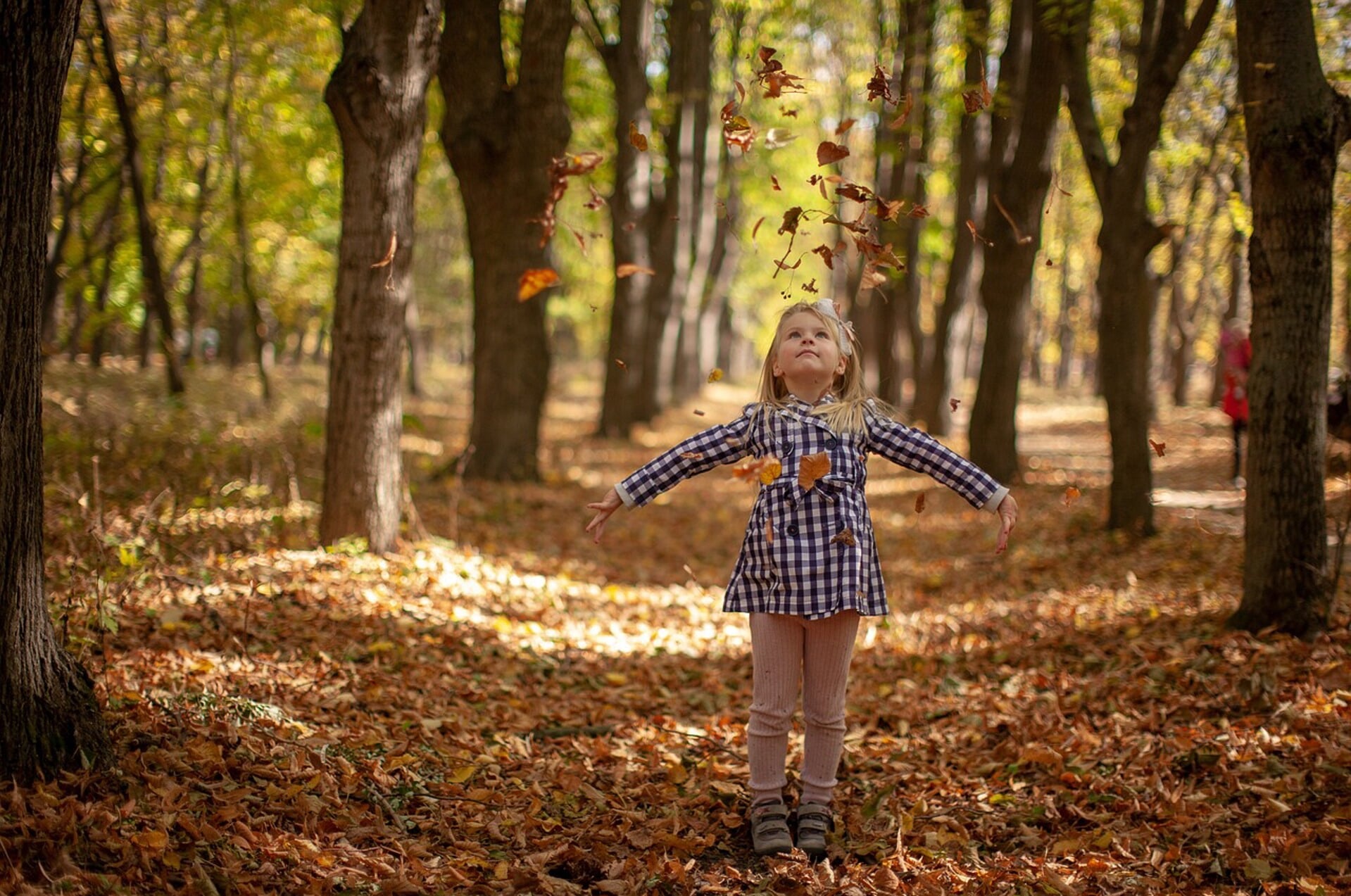 Herfstvakantie 2024 in Zuid-Holland: Wanneer heb ik vakantie en wat kan - Wanneer Is Het Herfstvakantie 2024