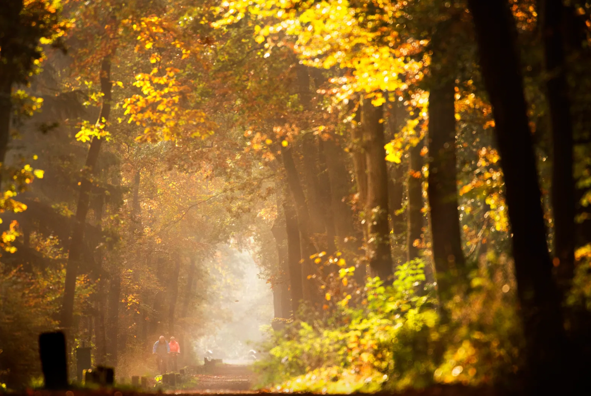 Herfstvakantie in Zuidoost Friesland | ZuidoostFriesland.nl - Wanneer Is Het Herfstvakantie In Het Zuiden