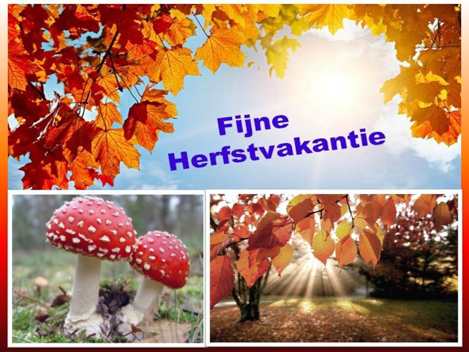 Wanneer Is Het Herfstvakantie In Brabant