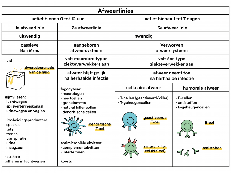 Actieve Immunisatie En Passieve Immunisatie