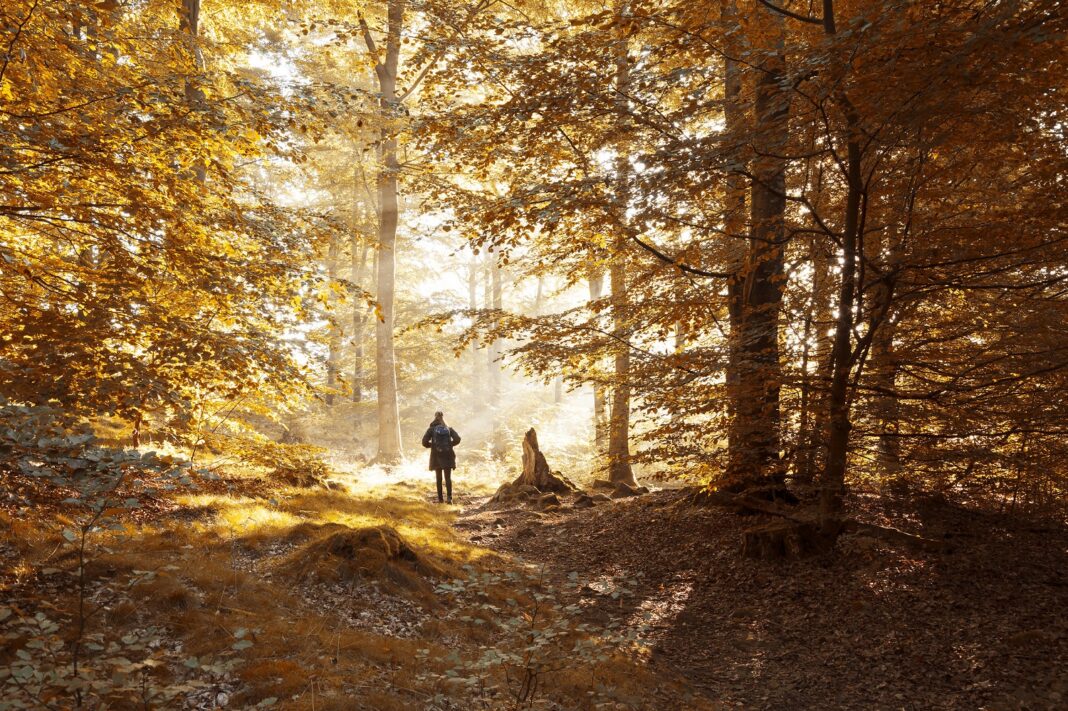 Wanneer Is Het Herfstvakantie In Het Zuiden