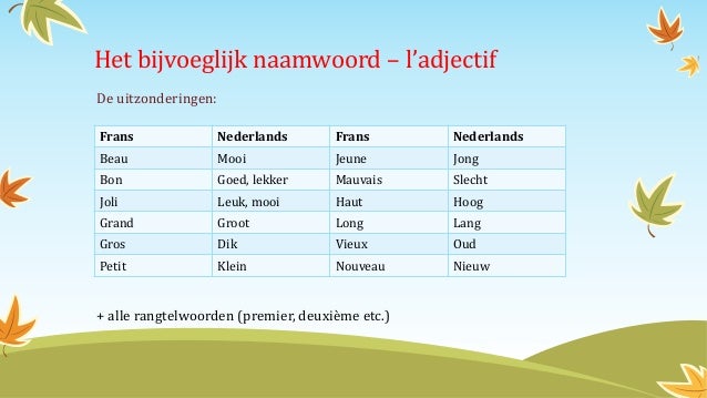 Het bijvoeglijk naamwoord – l’adjectif - Hoe Vind Je Zelfstandige Naamwoorden