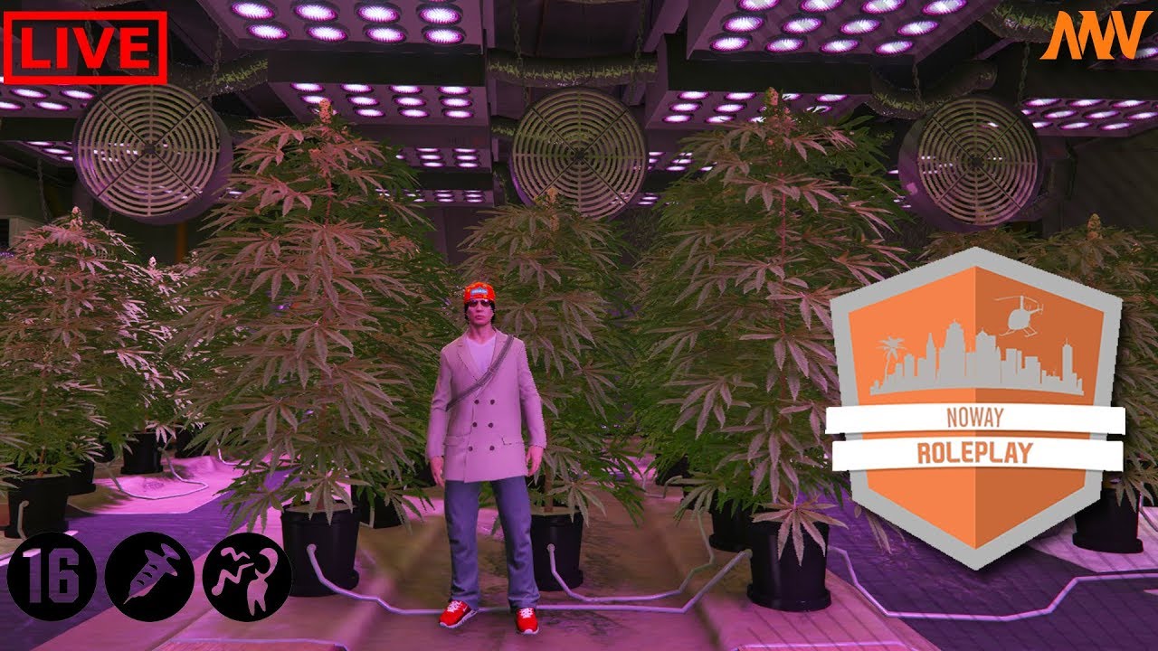 Het criminele pad op! - S02E06 - Noway Roleplay #NWRP (GTA 5 RP) - YouTube - Arts Die Het Criminele Pad Is Opgegaan