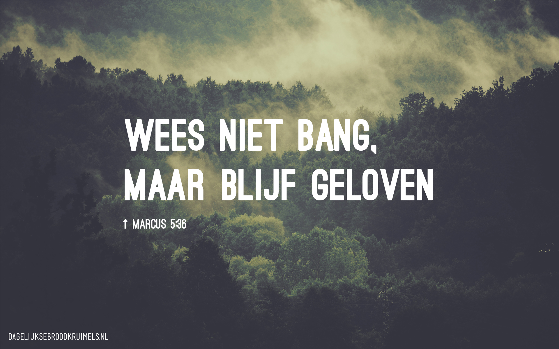 Het dochtertje van Jaïrus - Wees Niet Bang Bijbel