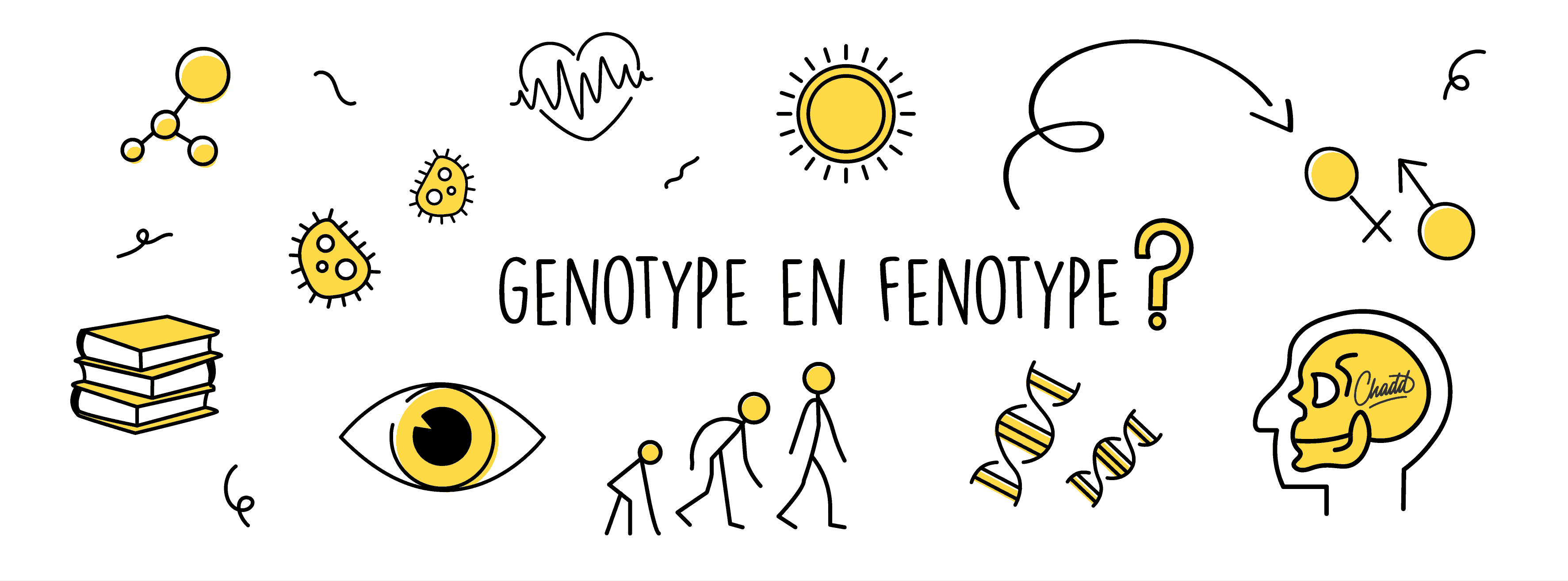 Het genotype en het fenotype - Mr. Chadd Academy - Wat Is Het Verschil Tussen Genotype En Fenotype