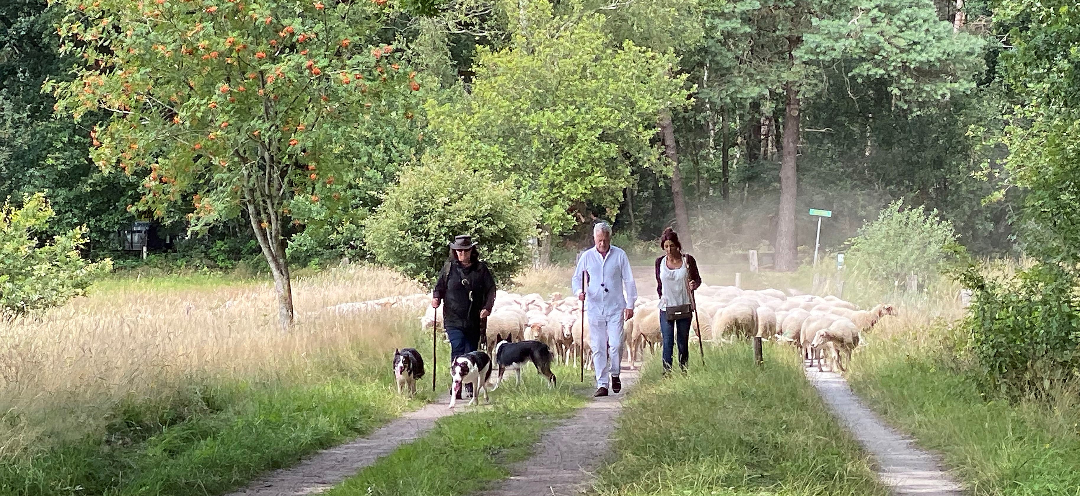 Het hek van de dam | Natuurmonumenten - Het Hek Is Van De Dam
