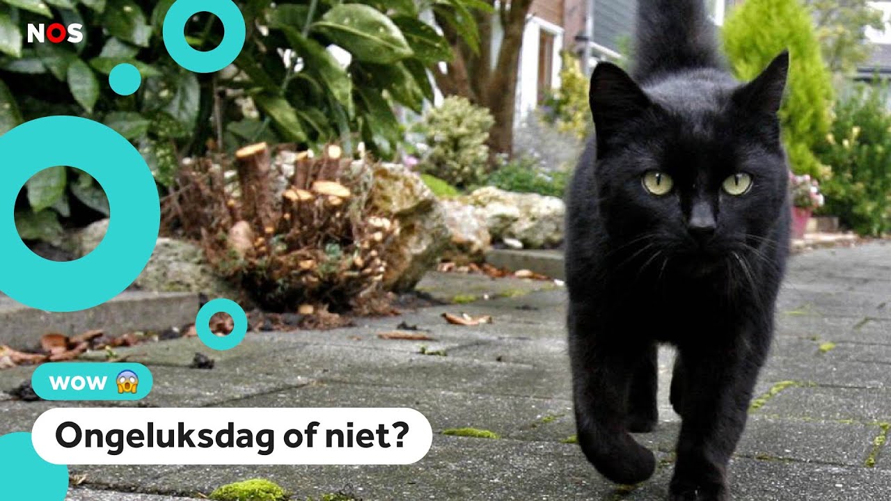 Het is vrijdag de 13e! - YouTube - Waarom Is Vrijdag De 13e Een Ongeluksdag