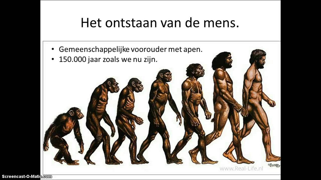 Het kwartair en ontstaan van de mens - YouTube - Hoeveel Ijstijden Waren Er In Het Kwartair