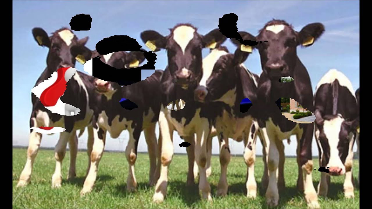 het melkmeisje - YouTube - Waarom Is Het Melkmeisje Gemaakt