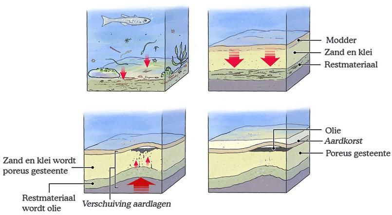 Hoe Is De Zee Ontstaan