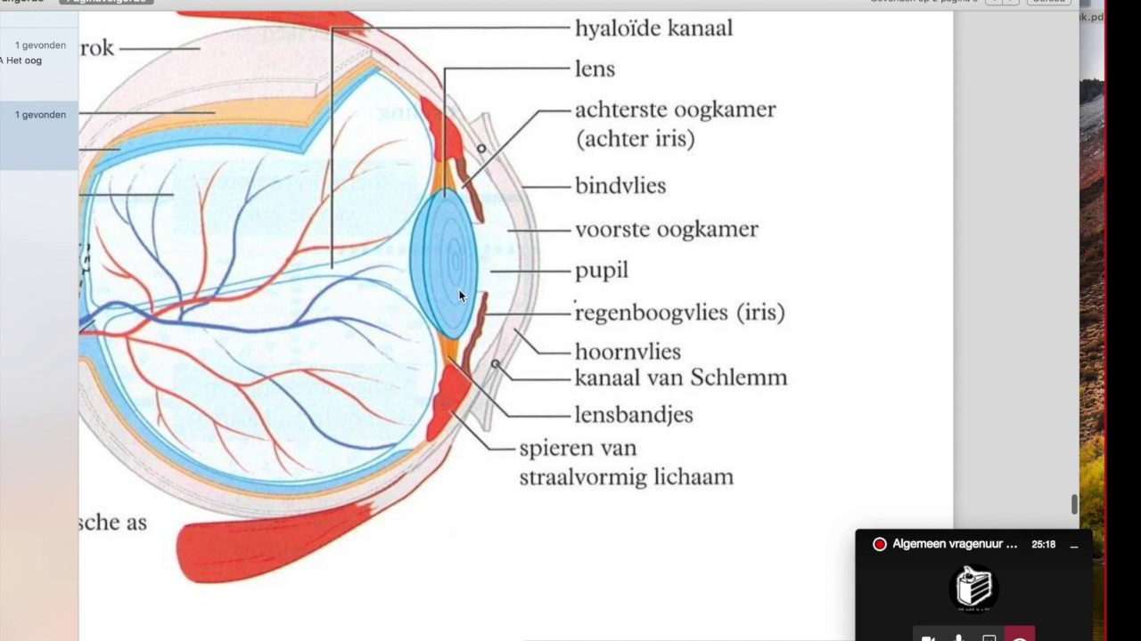 Hoe Heet Het Witte In Je Oog