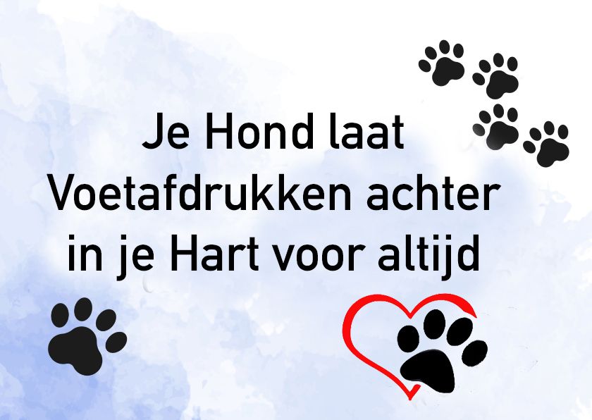 het overlijden van je hond raakt je in hart en ziel | Honden teksten - Wanneer Laat Je Je Hond Inslapen