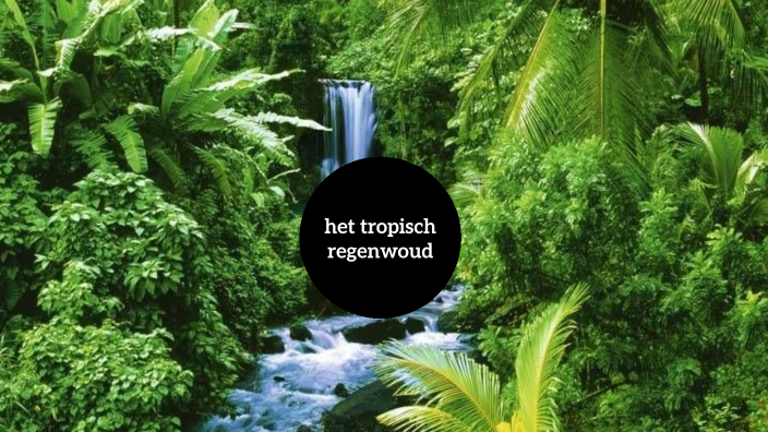 het tropisch regenwoud by Loranne Collaer - Waardoor Wordt Het Tropisch Regenwoud Bedreigd